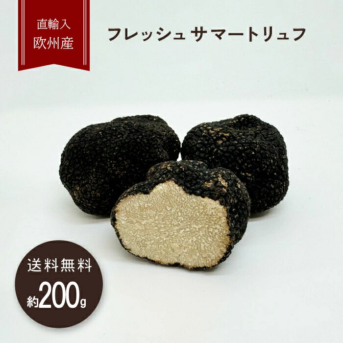 Rakuten - 【200g目安】フレッシュ サマートリュフ ファーストクラス 欧州産 直輸入 高級食材 三大珍味 希少 高品質 フレッシュトリュフ ギフト トリフ 生トリュフ | 冷蔵 クール便 送料無料 夏トリュフ 低価格 高級 高級品 お中元 プレゼント