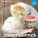 【冷凍】ココナッツミルク アイス 120ml×1個 卵不使用 やさしい甘さ アジアンスイーツ ティーヌン 本格 タイ スイーツ デザート 食後 ヘルシー アイスミルク 夏 お中元 ギフト 贈り物 プレゼント