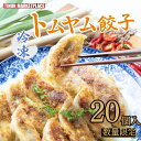 【数量限定】トムヤムギョウザ 20個セット 本格タイ餃子 タイ料理 冷凍 お買い得 まとめ買い ギョウザパーティーにもおすすめ 【ティーヌン公式】