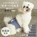 SkipDog! マナーベルト タンタスクスカル ペット サニタリー パンツ 犬 マナー おむつ マナーパンツ マナーパッド ナプキン 吸水パッド 男の子 オス 小型犬 チワワ プードル おむつカバー sss 介護 マーキング ペットグッズ 犬用品 粗相 しつけ マナーグッズ