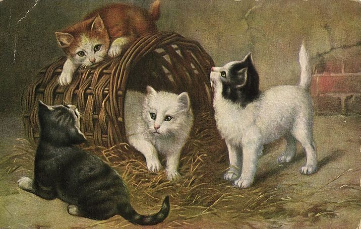 Rakuten - アンティーク　ポストカード ネコ　猫　 ［1900年代初期］