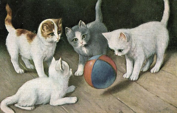 乐天商城 - アンティーク　ポストカード ネコ　猫　 ［1900年代初期］