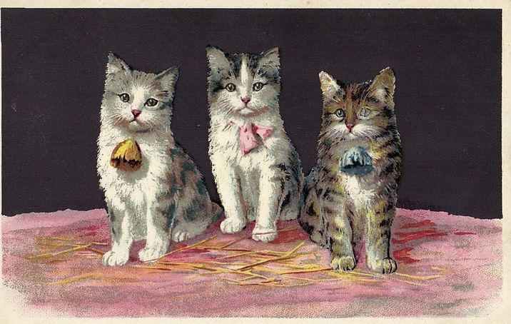 樂天商城 - アンティーク　ポストカード ネコ　猫　 ［1900年代初期］