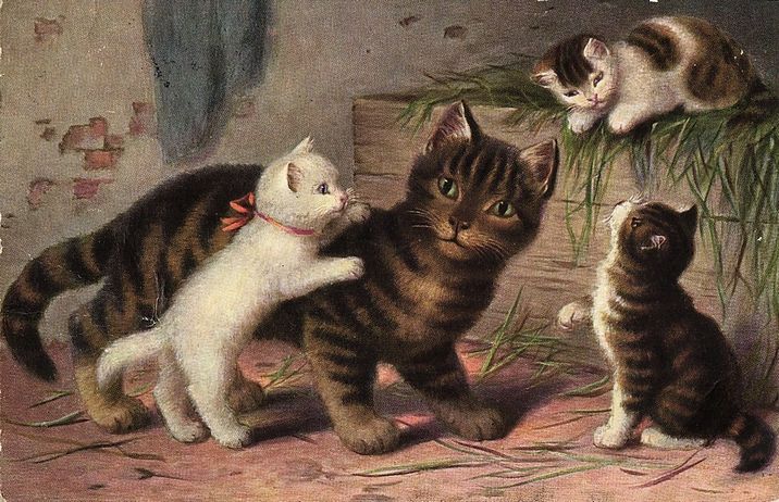 Rakuten - アンティーク　ポストカード ネコ　猫　 ［1900年代初期］