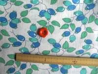 �ե����ɥ��å������ϥ֥롼�ϥե롼�Ĥμ� (�ե륵����)