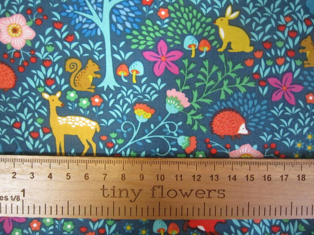 US���åȥ󡡥������󥰡�������ɥ��꡼���Ͽ���ưʪ����