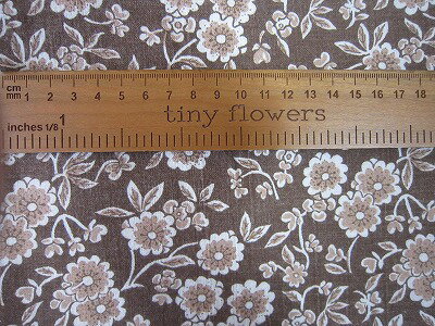 �ե����ɥ��å� ���֥饦���Ϥ��֡���1/16������)