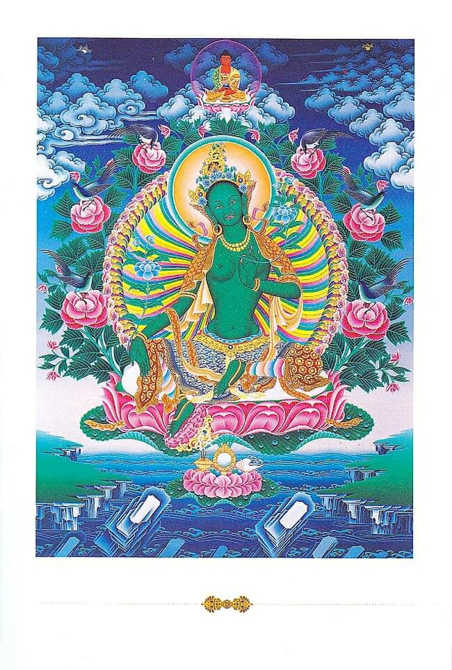 ɻߡ-TIRAKITA㤨֥꡼󥿡顼Υݥȥ / Ϥ ߤ䤲 ޥ ʩ     ʪ ƥå ݥפβǤʤ120ߤˤʤޤ