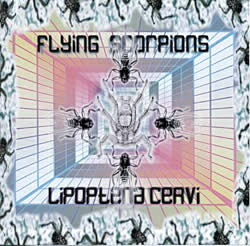 Flying Scorpions Lipoptena Cervi / 六次元音 SUOMI スオミトランス 6D Soundz スオミ(suomi) 6d soundz dimension sounds ゴア レイブ