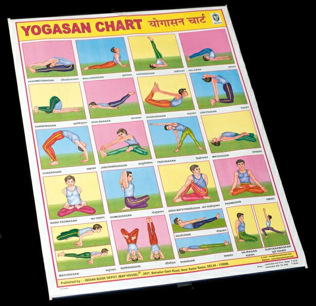 ヨガの体位 教育ポスター / インド おもしろ アジアの教育ポスター 本 印刷物 ステッカー ポストカード