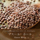 マスール ホール Masoor Whole【1kgパック】 / ダール マソール ダル 豆 レンズ豆 AMBIKA(アンビカ) 豆類 スパイス カレー アジアン食品 エスニック食材