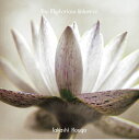 The mysterious Universe / ヨーガ CD yoga 瞑想 bon music 日本人アーティスト インド音楽 民族音楽