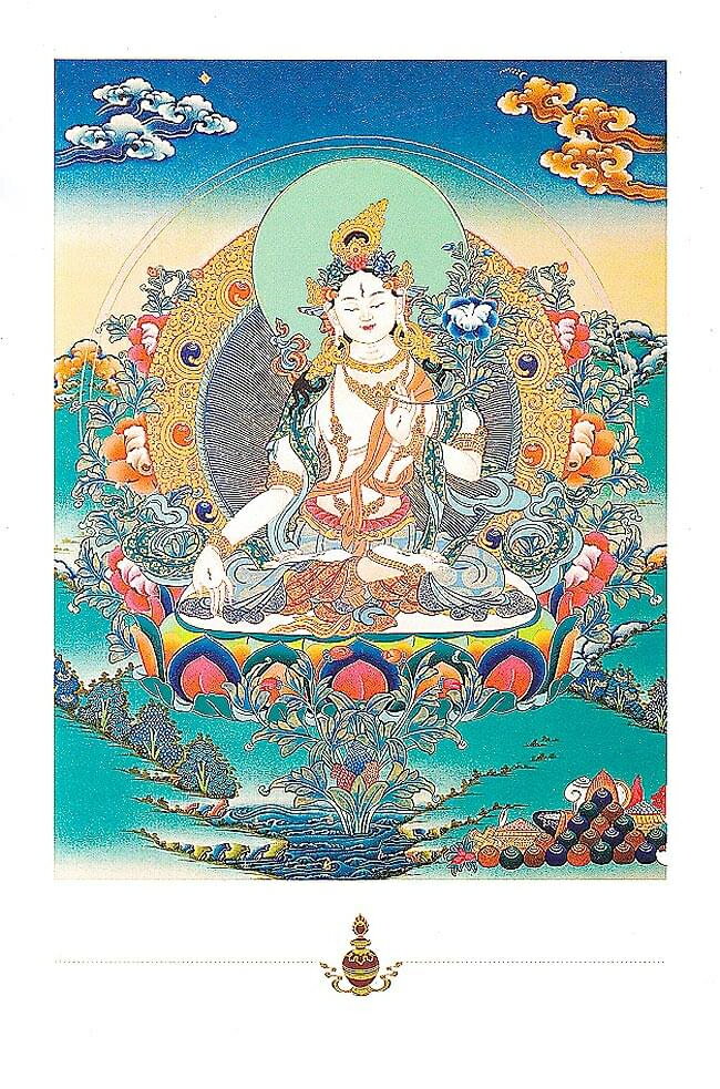 ɻߡ-TIRAKITA㤨֥顼Υݥȥ / Ϥ ߤ䤲 ޥ ʩ     ʪ ƥå ݥפβǤʤ120ߤˤʤޤ