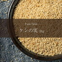 ケシの実 Poppy Seed 【1kgパック】 / ポピーシード AMBIKA(アンビカ) スパイス インド カレー アジアン食品 エスニック食材