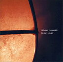 between the worlds / ヨーガ CD yoga 瞑想 bon music 日本人アーティスト インド音楽 民族音楽