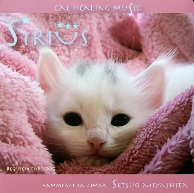 Sirius Requiem For Cats 宮下節雄 / ジミー宮下 サントゥール ヒーリング Yoga 沙羅双樹 日本人アーティスト インド音楽 CD 民族音楽【レビューで500円クーポン プレゼント】