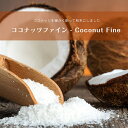 ココナッツファイン Coconut Fine / ココナッツ粉末 ココナッツパウダー アンビカ(AMBIKA) スパイス インド カレー アジアン食品 エスニック食材