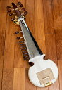 【送料無料】 【Kanai lal＆amp;Sons社製】サロード Sarod Professional Quality / インド 楽器 弦楽器 民族楽器 民族楽器の弦楽器 全部 インド楽器 エスニック楽器 ヒーリング楽器【レビューで1000円クーポン プレゼント】