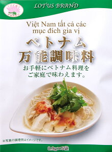 入れるだけでベトナム味になる ベトナム万能調味料【5袋入】 / フォー フォーガー 料理の素 アジョイン(ADIOIN) ベトナム食品 ベトナム食材 アジアン食品 エスニック食材
