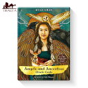 エンジェルズ＆アンセスターズオラクルカード Angels Ancestors Oracle Card / 占い カード占い タロット ライトワークス 占術関連全部見る ルノルマン コーヒーカード インド 本 印刷物 ステッカー ポストカード ポスター その1