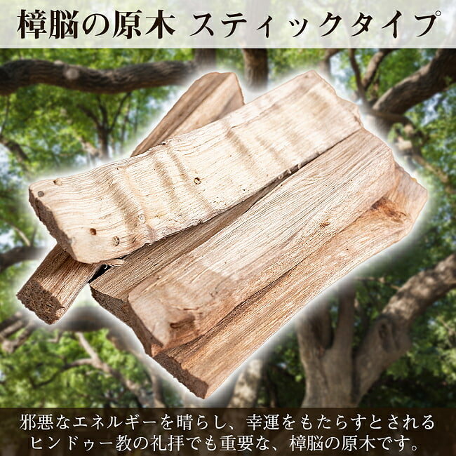 ヒンドゥー教の儀式で用いられる 樟脳の原木スティックタイプ Camphor(Kapoor) 香木 お香 / プージャー アグニホートラ 祈祷 浄化 楠 カンフル カンファー 幸運 マインドフルネス ホワイトセージ インセンス アジア エスニック