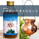 【送料無料】 超大容量シロダーラ+オイルセット / アーユルヴェーダ スパ Shirodharaアーユルヴェーダオイル マッサージ AVP アジアの健康グッズ ...