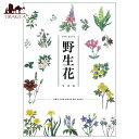 【送料無料】 野生花オラクルデッキ Wild Flowers Oracle Deck / オラクルカード 占い カード占い タロット PRIME MUSe 占術関連全部見る ルノルマン コーヒーカード インド 本 印刷物 ステッカー ポストカード ポスター