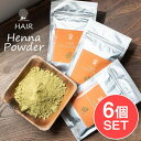 【送料無料】 6個セット】髪の毛用 ティラキタ ヘナ パウダー 100g HAIR Henna Powder / メヘンディ インドのハーブ ヘナタトゥー Me...