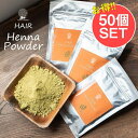 【送料無料】 【業務用 再販用 50個セット】髪の毛用 ティラキタ ヘナ パウダー 100g HAIR Henna Powder / メヘンディ インドのハーブ...