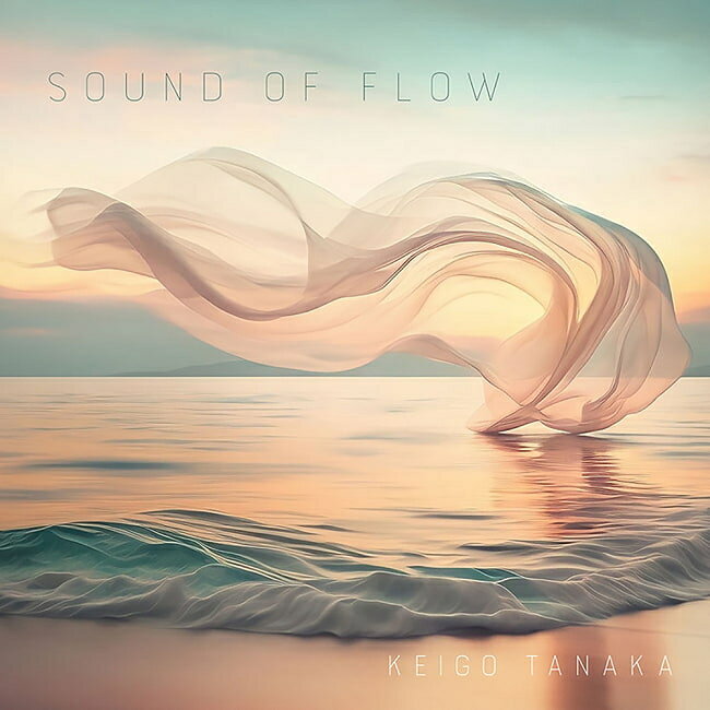 Sound of Flow Keigo Tanaka CD / 環境音楽 アンビエント ととのい メディテーション ヒーリング サウナ Niceness mu…