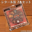 Karuna Brand シタール弦 7本セット / 交換弦 予備 SITAR ストリング 部品 民族楽器 インド楽器 エスニック楽器 ヒーリング楽器【レビュー...