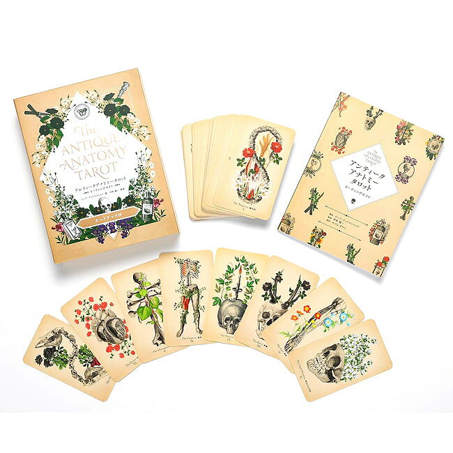 【送料無料】 アンティークアナトミータロット Antique Anatomy Tarot / 占い カード オラクル ルノルマン スピリチュアル 日本語 グラフィック社 占術関連全部見る コーヒーカード インド 印刷物 ステッカー ポストカード ポスター