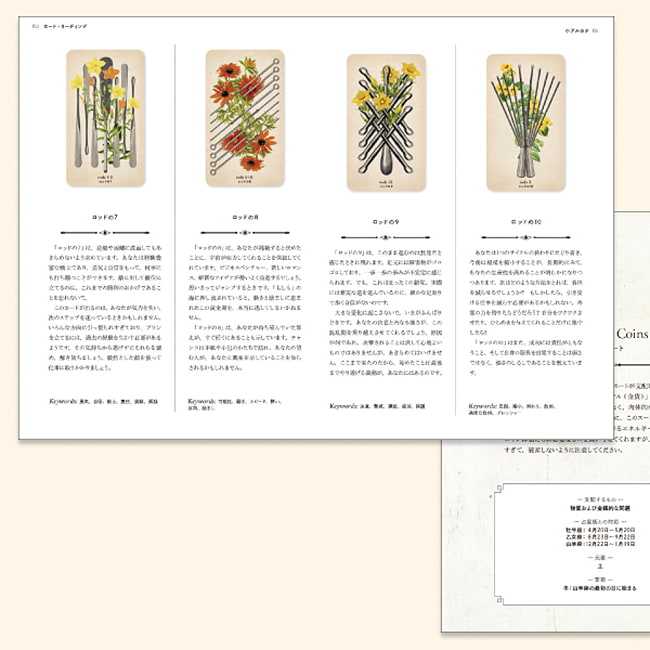 【送料無料】 アンティークアナトミータロット Antique Anatomy Tarot / 占い カード オラクル ルノルマン スピリチュアル 日本語 グラフィック社 占術関連全部見る コーヒーカード インド 印刷物 ステッカー ポストカード ポスター