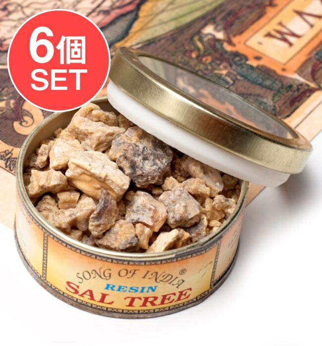 【送料無料】 【6個セット】沙羅双樹(サル ツリー) レジン樹脂香 / Sal Tree インド香 アラブ香 レジン香 薫香 お香 インセンス アジア エスニック