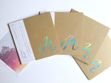 Field Soundgraphy Forest / Niceness music V.A 田中圭吾 アンビエント チルアウト cd レビューでタイカレープレゼント あす楽