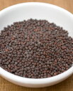 マスタードシード Mustard Seed 500g / 辛子 タルカ AMBIKA(アンビカ) フェネグリーク インド スパイス カレー アジアン食品 エスニック食材