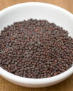 マスタードシード Mustered Seed 500g / Mustard 辛子 タルカ AMBIKA(アンビカ) フェネグリーク インド スパイス カレー アジアン食品 エスニック食材