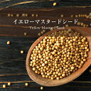 イエロー マスタード シード Yellow Mustard Seed【500gパック】 / マスタードシード スパイス ホールスパイス インド食材 Ambika(アンビカ) フェネグリーク カレー アジアン食品 エスニック食材