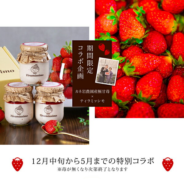 �ڴ��ָ��� �񻺴��Ϥ������Υƥ���ߥ� 4�ĥ��åȡ� �� �ƥ���ߥ� ���ܰ�ʤ�餫 �ƥ���ߥå��� �񻺴��Ϥ����� �� �˴��� ����ȯ�� ���ޥ�����ݡ��ͥ����� ����Ȣ ��� ���֤� ´�� ���� ���� ��ǰ�� �ץ쥼��� ��� ���� ���渫�� ����̵��