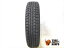 ť 1ñ 155/65R14 75Q å 󥿡ޥå WM03 åɥ쥹 155/65R14 75Q š RCP