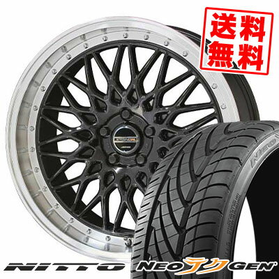 225/30R20 85W ニットー NEO GEN STEINER FTX サマータイヤホイール4本セット 【取付対象】