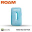 ʡ ROAM ADVENTURE CO. ICE PACK 1LB 1Ĳ 饮åȥ顼 ѥå ॢɥ٥㡼 Ǽܥå 顼ܥå ȥɥ  롼եå       С٥塼ι ä