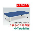高田ベッド製作所 有孔キャスロン TB-205U 診察台 ベッド マッサージベッド 高田 国産(4)