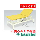 高田ベッド製作所 電動ボバースホーム(01) TB-579-01 運動療法 ベッド リハビリ トレーニング 国産