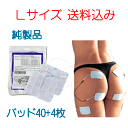 粘着パッド アクセルガード L(5×9cm) 4枚入り×10+1袋 お得セット レターパック便 送料込み 人気 安い 効果 疲労 痛み