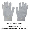 フィジオアクティブ HV2 パーツ グローブ型導子L・23cm(絶縁ゴム手袋入り) 酒井医療 人気 安い 効果 疲労 痛み