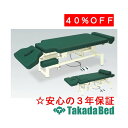 高田ベッド製作所 Pro-styleシェープI TB-580-01 電動昇降台 ベッド 国産 効果 治療