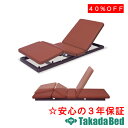 高田ベッド製作所 ロウライナーI I TB-1687 メディカル ベッド 国産 効果 治療
