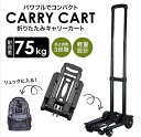 キャリーカート 折りたたみ タイヤ大きい 軽量 4輪 頑丈 ハンドキャリー 階段 キャンプ アウトドア 釣り 軽い スムーズに動く 耐荷重75kg 砂浜 カート ショッピング 敬老の日 ギフト 親にプレゼント