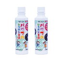 【期間限定ポイントUP】トモダ(Tomoda) 友田商会( Shokai) シャボン玉液 250ml 2本セット パワフルシャボン玉液 大きいシャボン玉用 日本...